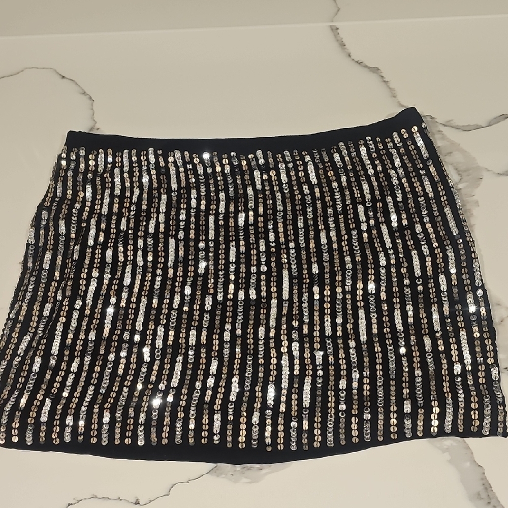 Sequin Embellished Black Theory Skirt